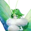 Somniwing Aniimo avatar
